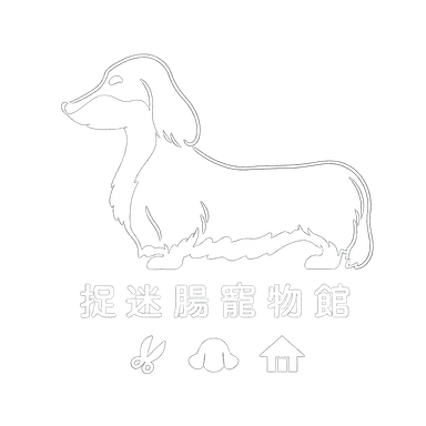 捉迷腸寵物館 - 水中運動